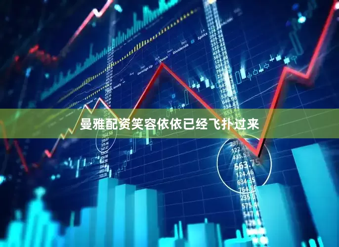 曼雅配资笑容依依已经飞扑过来