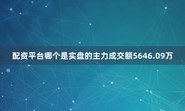 配资平台哪个是实盘的主力成交额5646.09万