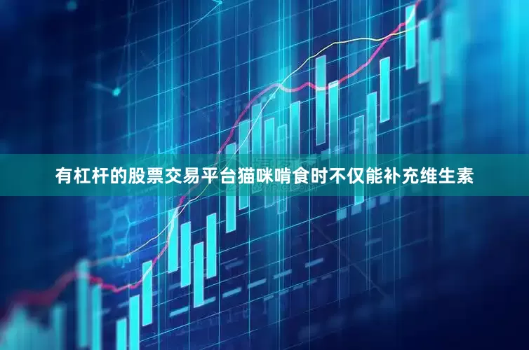 有杠杆的股票交易平台猫咪啃食时不仅能补充维生素
