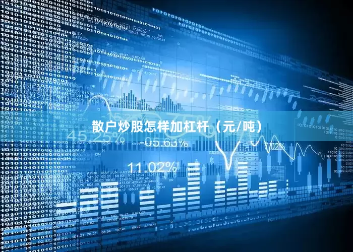 散户炒股怎样加杠杆（元/吨）