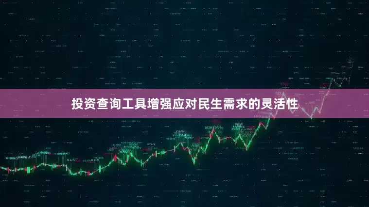 投资查询工具增强应对民生需求的灵活性