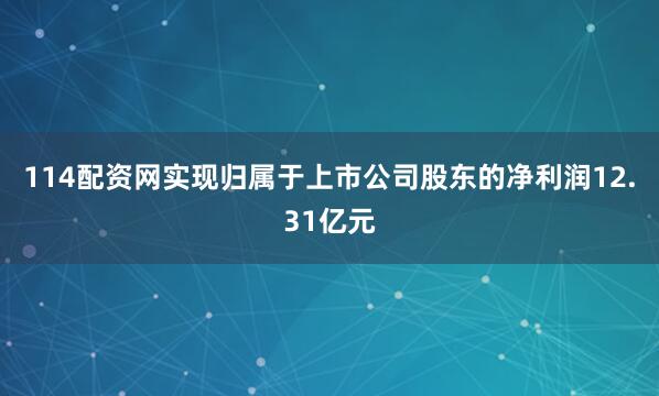 114配资网实现归属于上市公司股东的净利润12.31亿元