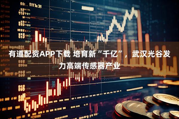 有道配资APP下载 培育新“千亿”，武汉光谷发力高端传感器产业